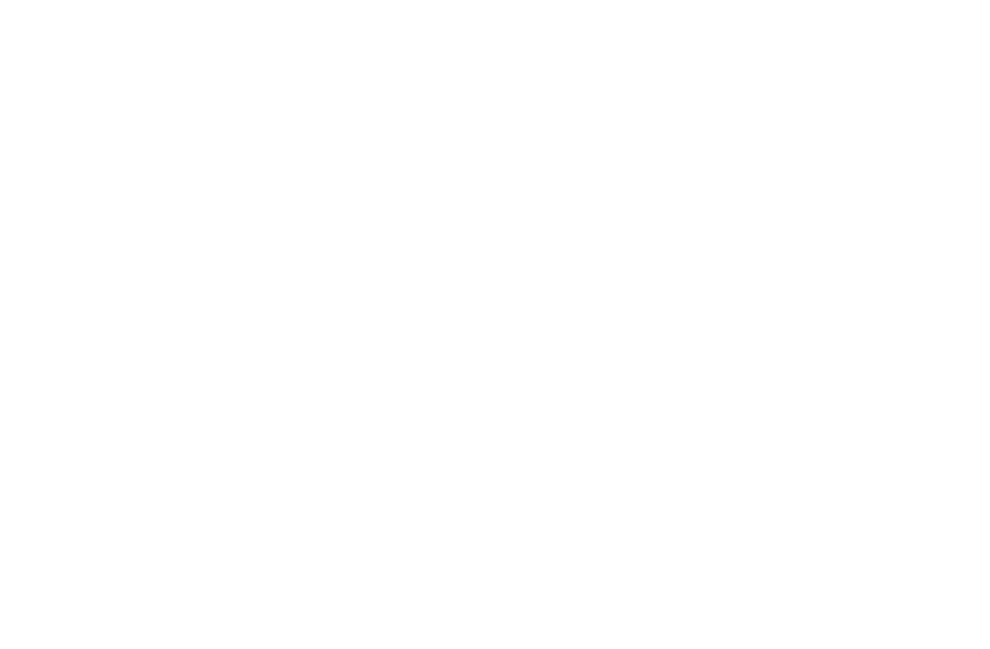 Mudanças Leve Lar